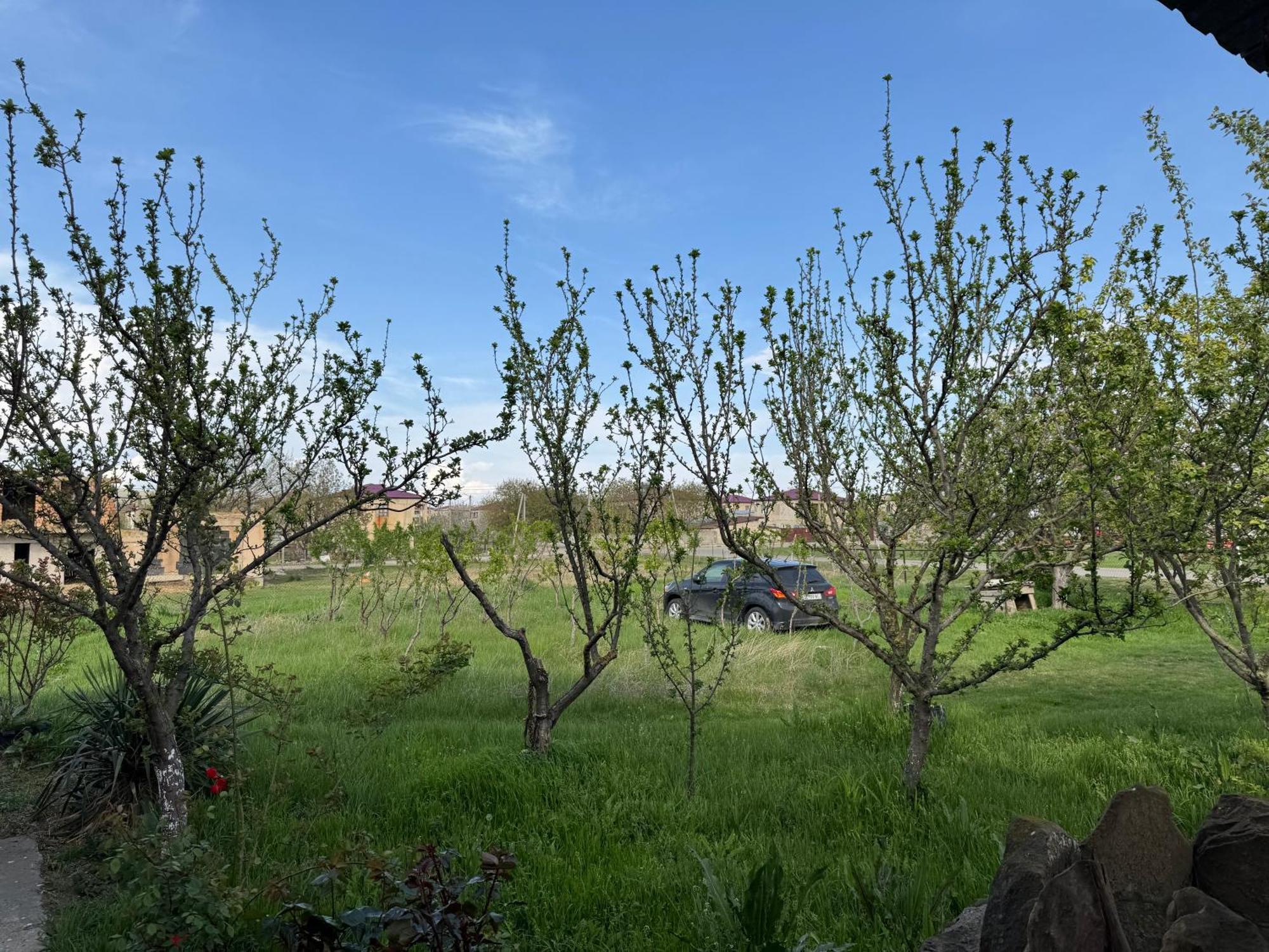 Udabno Guesthouse Gareji מראה חיצוני תמונה