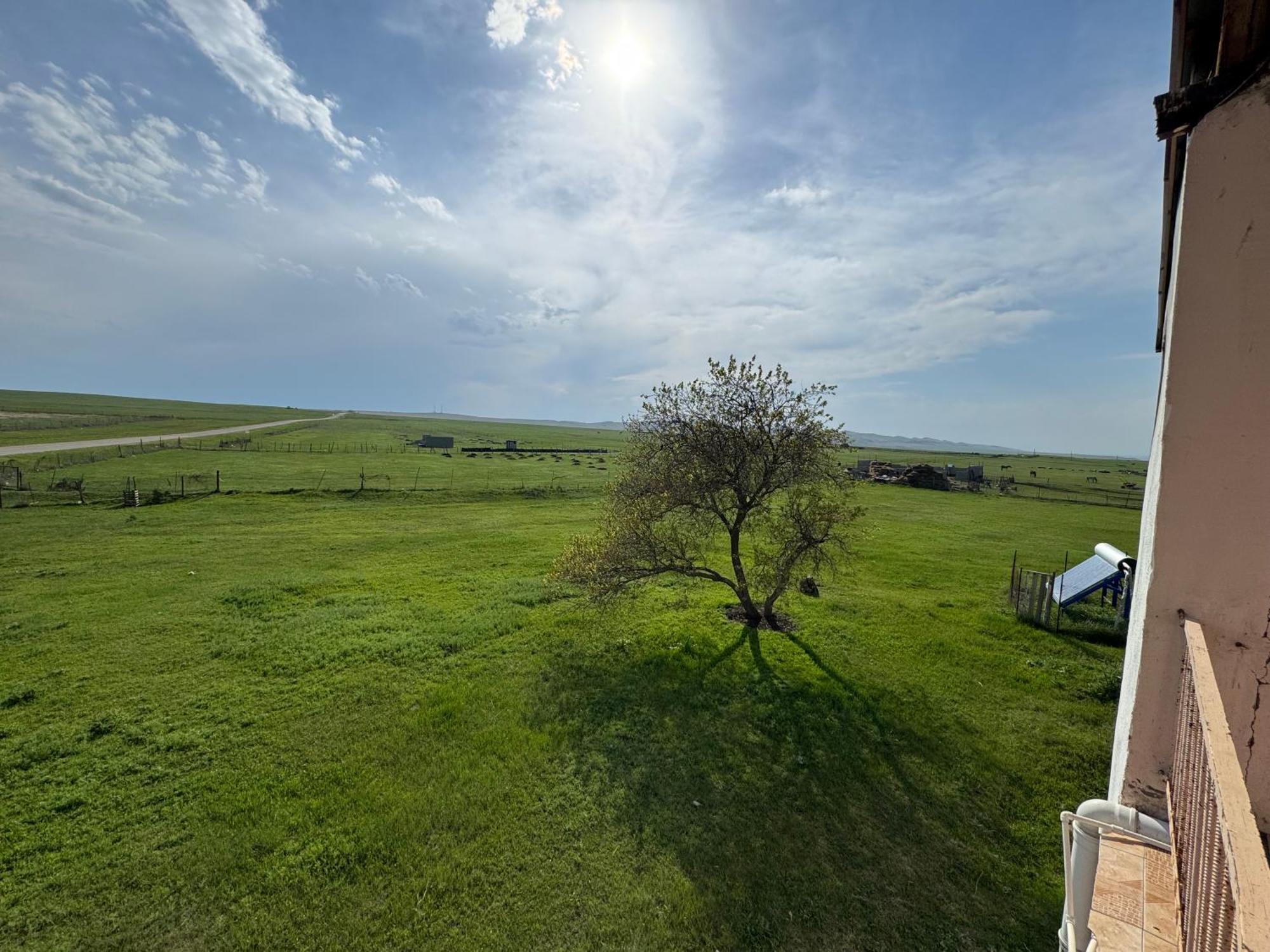 Udabno Guesthouse Gareji מראה חיצוני תמונה